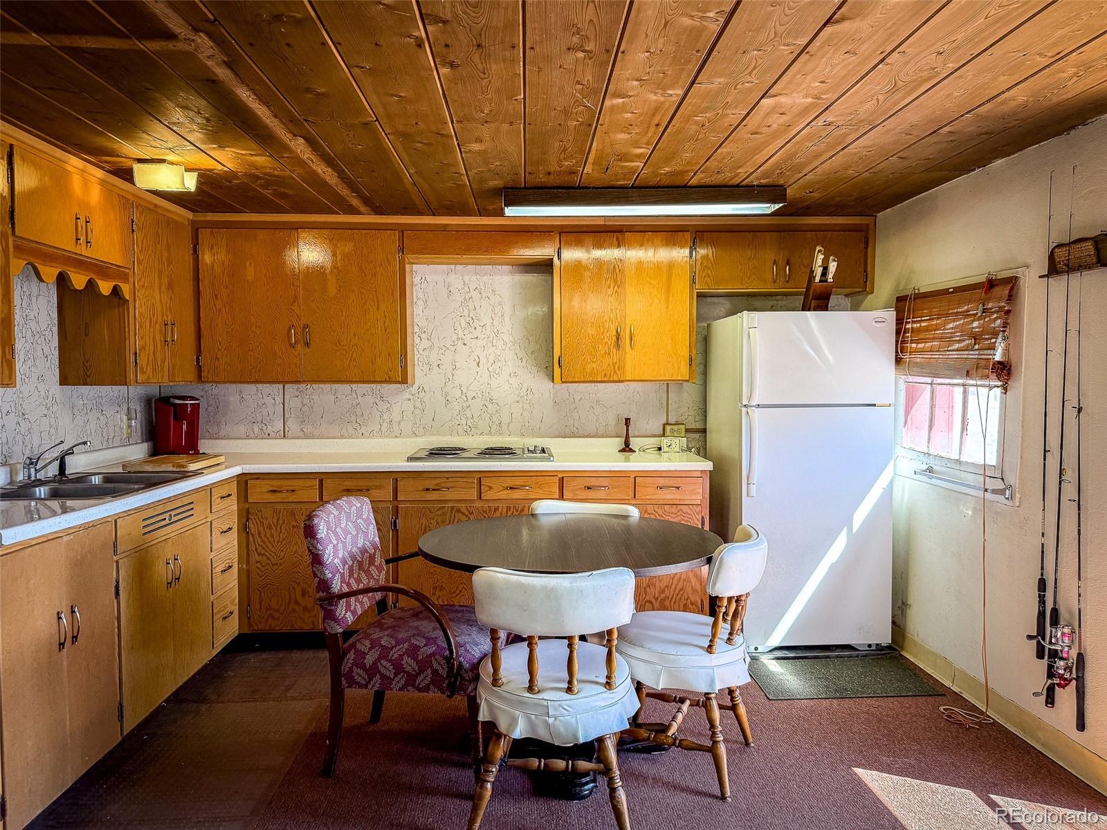 MLS Image #2 for 4100  usfs 515 road,creede, Colorado