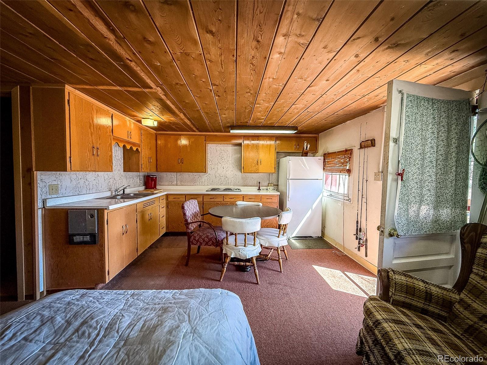 MLS Image #3 for 4100  usfs 515 road,creede, Colorado