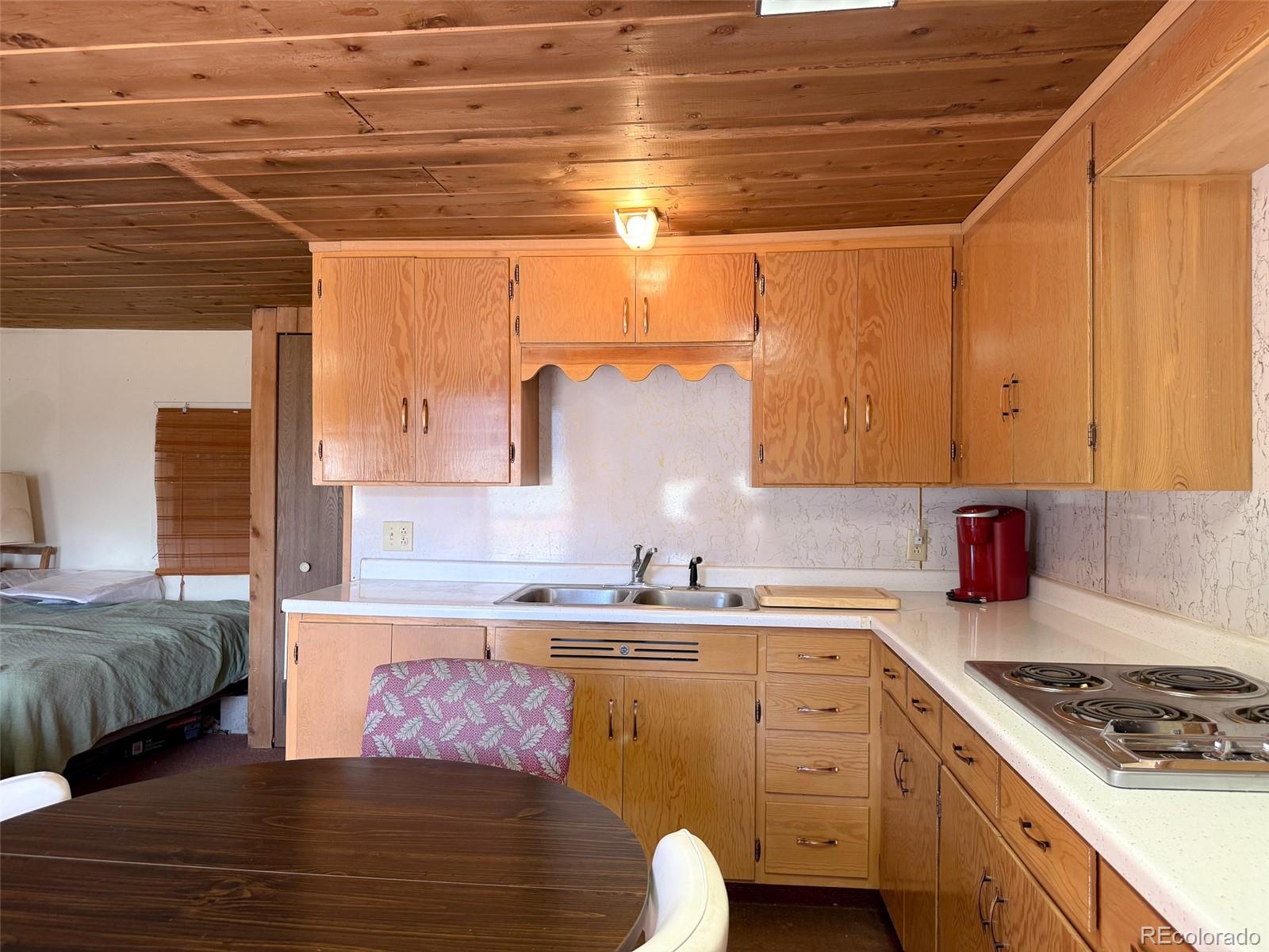 MLS Image #6 for 4100  usfs 515 road,creede, Colorado
