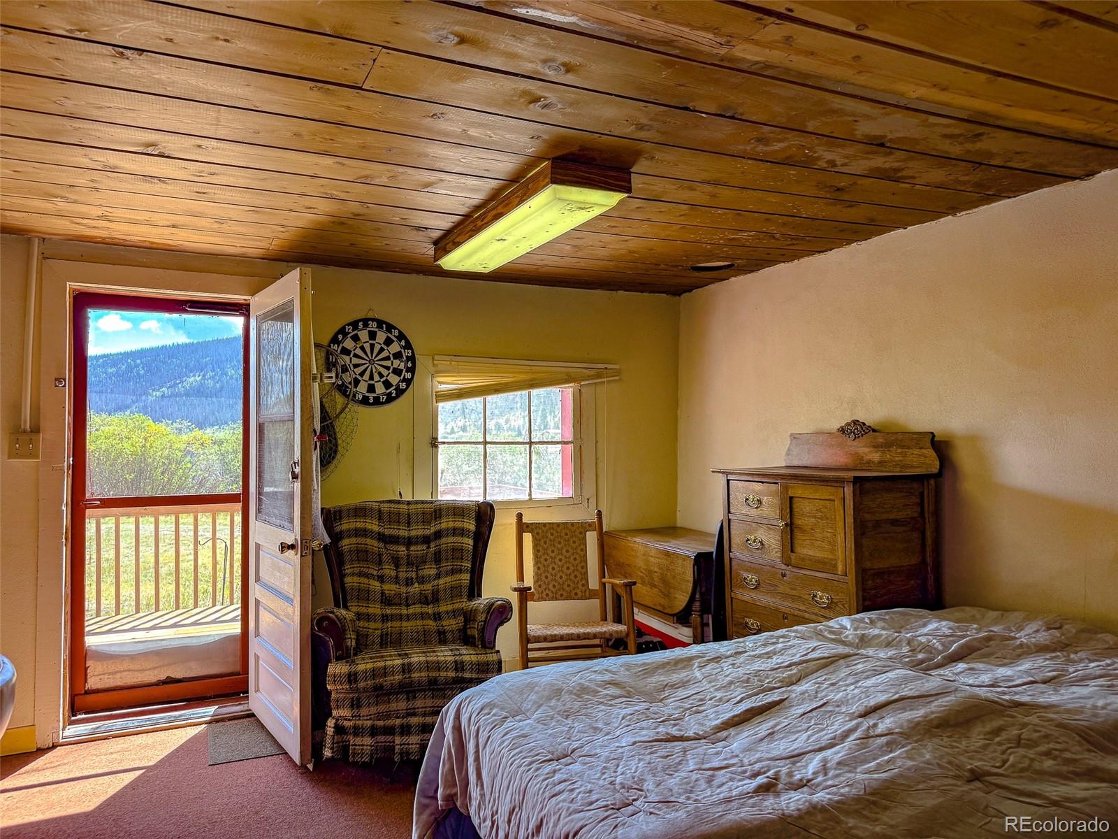 MLS Image #7 for 4100  usfs 515 road,creede, Colorado