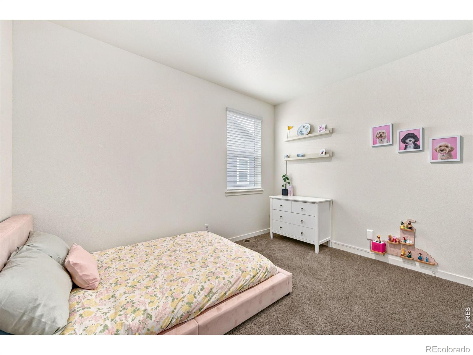 MLS Image #18 for 1080  clara view drive,berthoud, Colorado