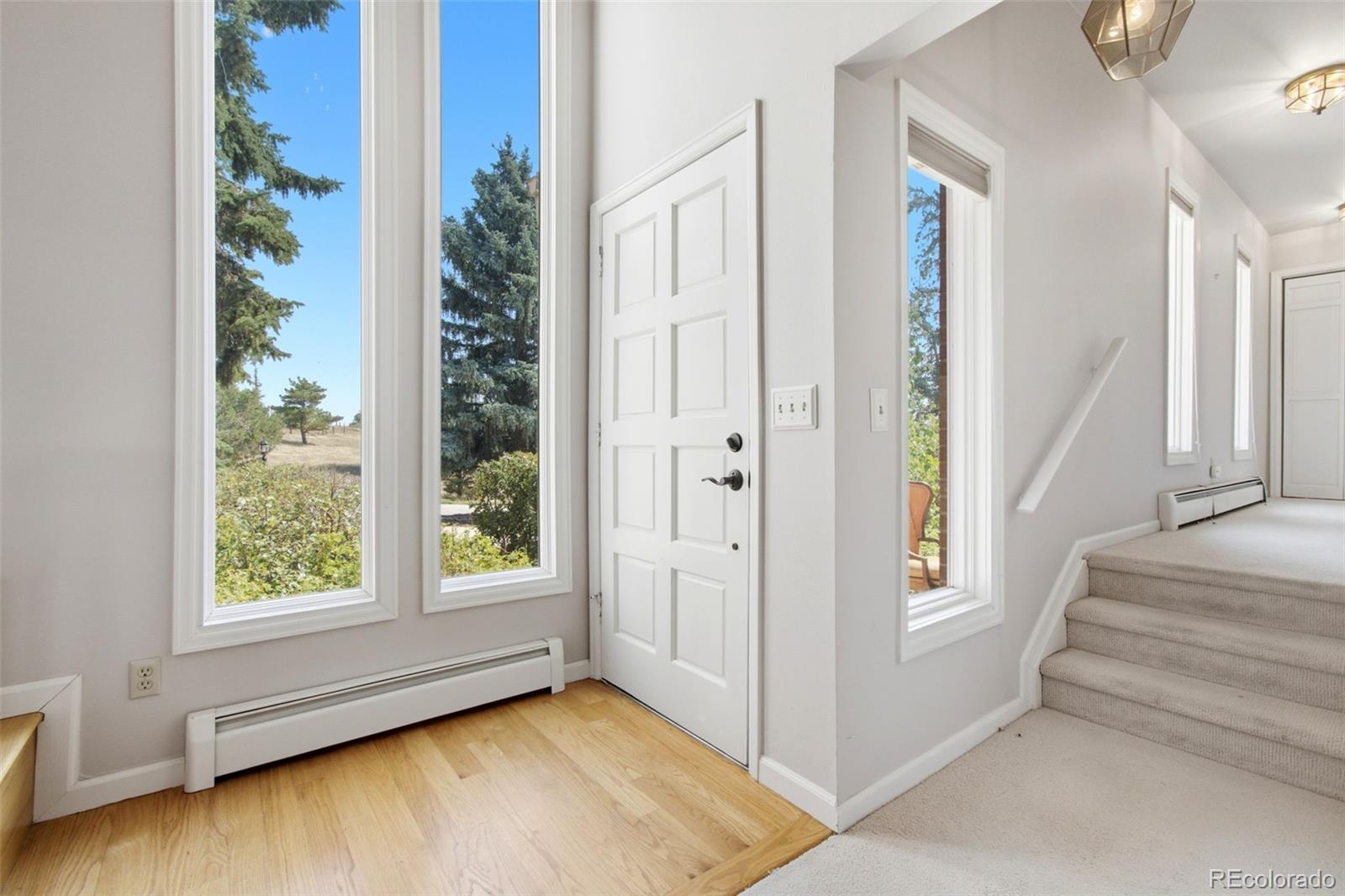 MLS Image #5 for 806  twin oaks road,castle rock, Colorado