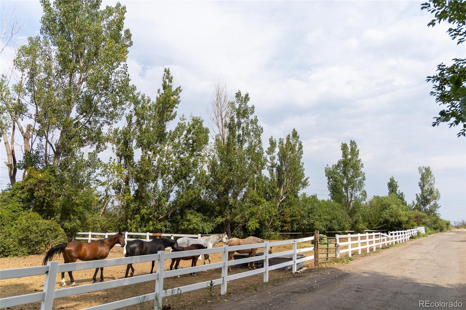 MLS Image #38 for 2906 w long circle,littleton, Colorado