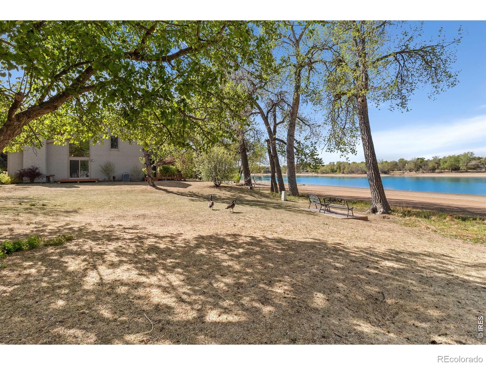 MLS Image #4 for 707  sandpiper point,fort collins, Colorado