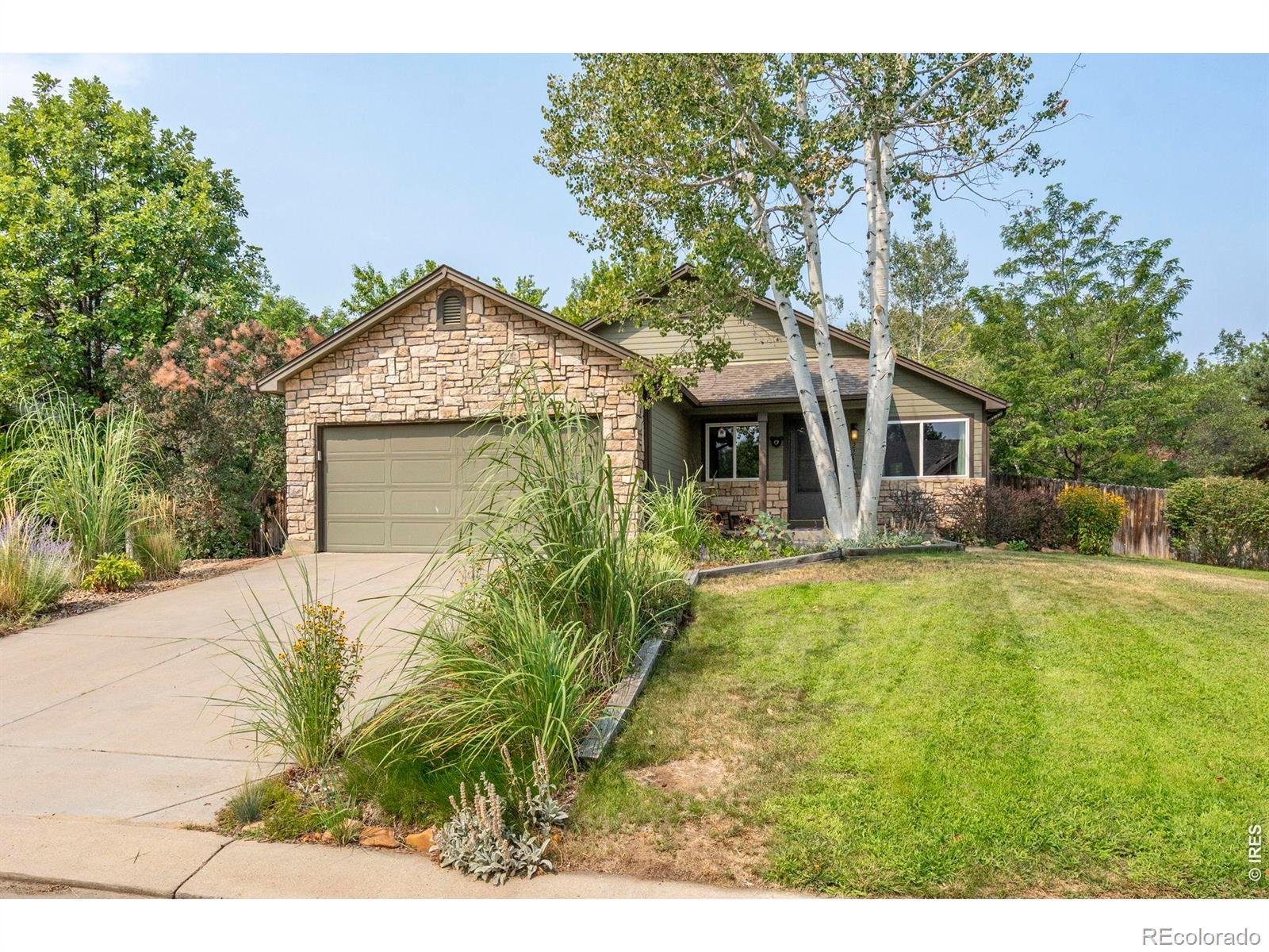 MLS Image #1 for 224  yellowfield way,erie, Colorado