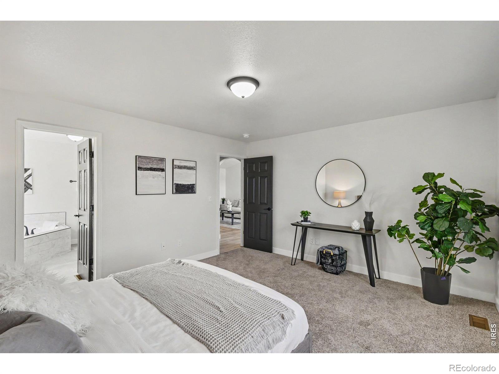 MLS Image #10 for 16318  8th street,mead, Colorado