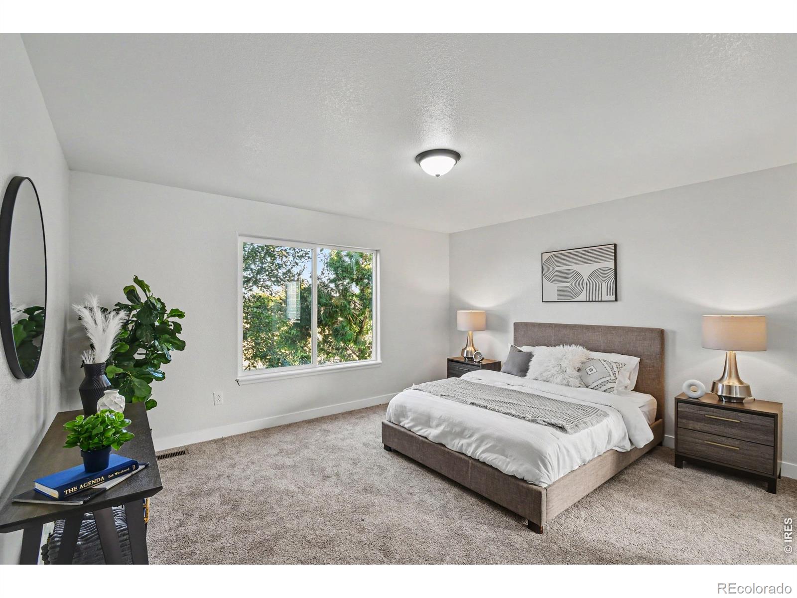 MLS Image #9 for 16318  8th street,mead, Colorado