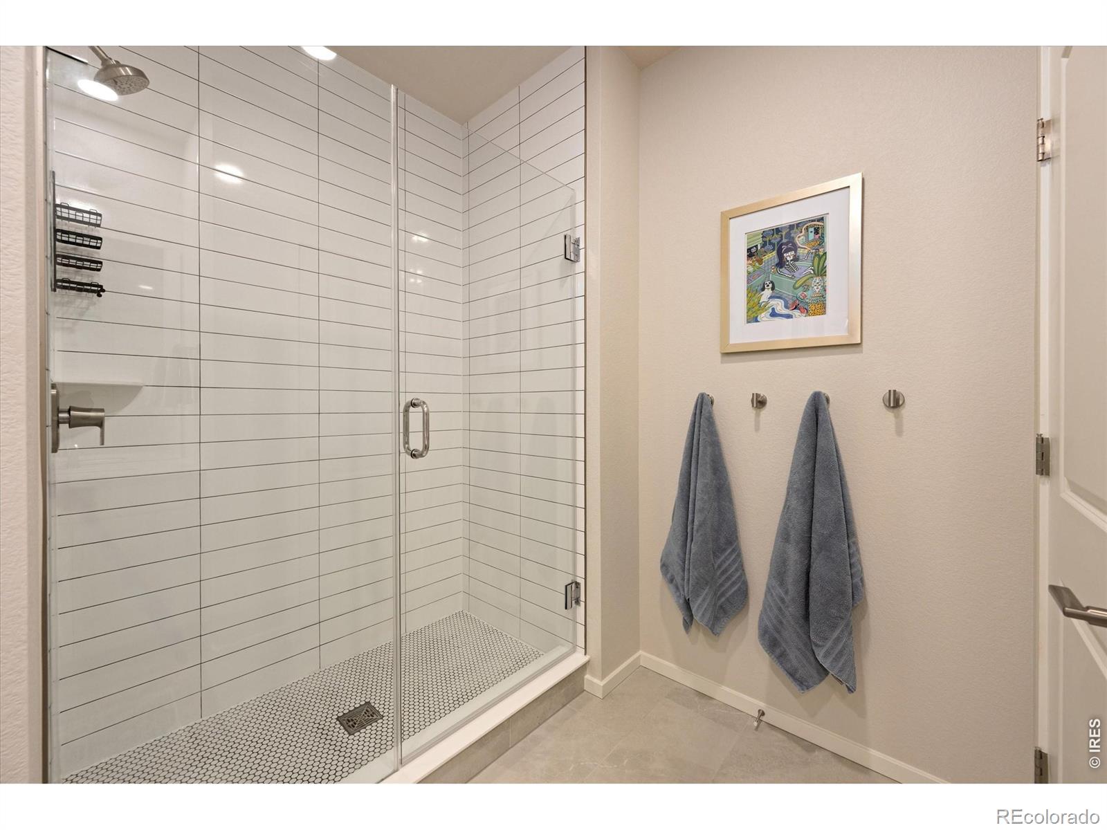 MLS Image #24 for 5251  ribault street,timnath, Colorado