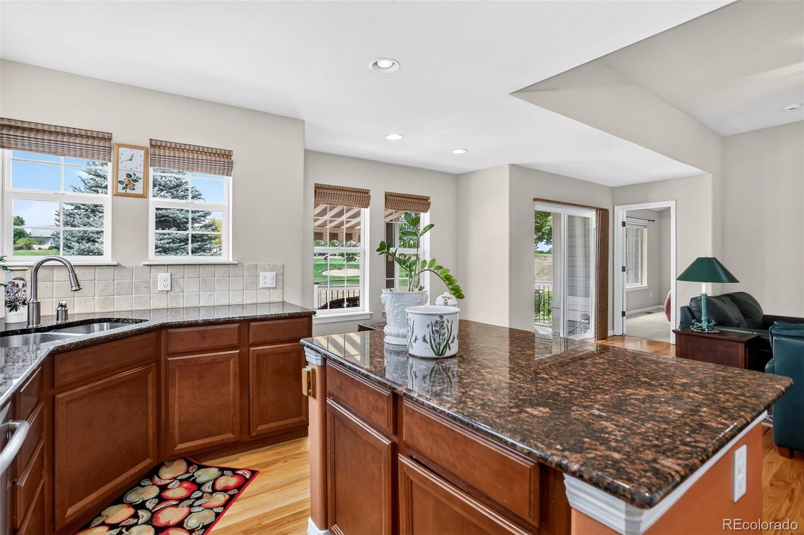 MLS Image #13 for 15067  xenia street,thornton, Colorado