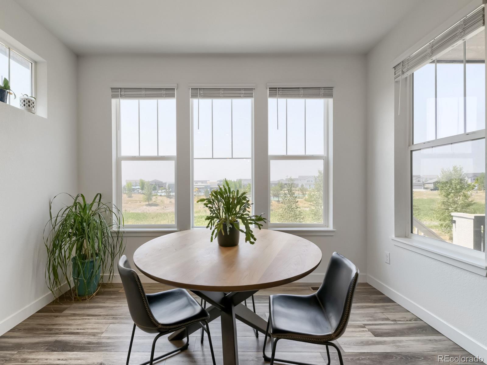MLS Image #12 for 12735  lake port street,longmont, Colorado