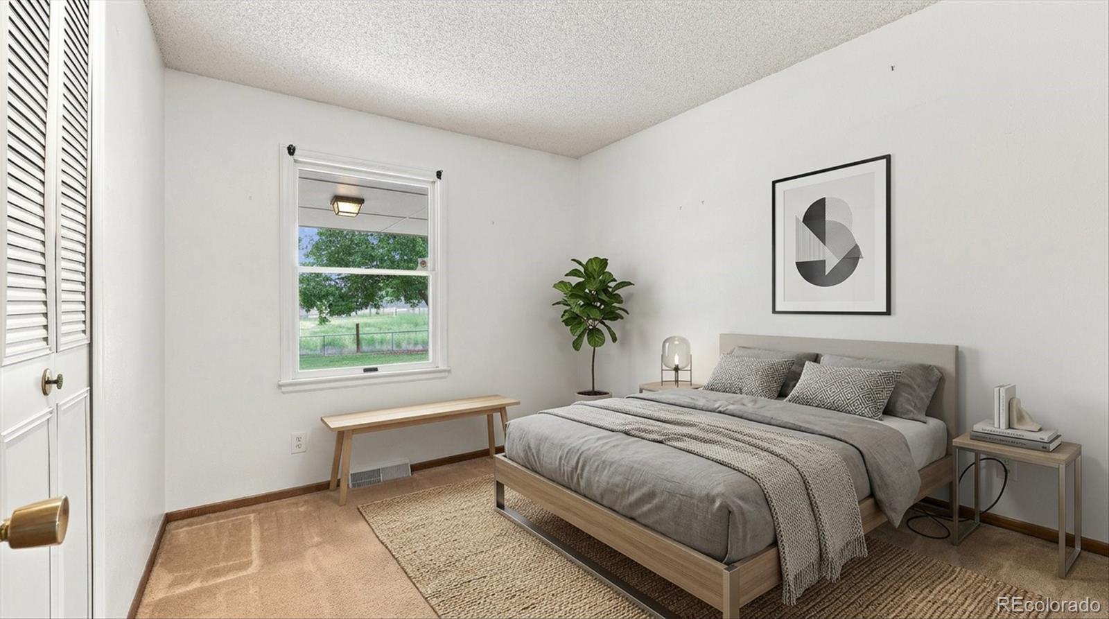MLS Image #20 for 12325  josephine court,thornton, Colorado