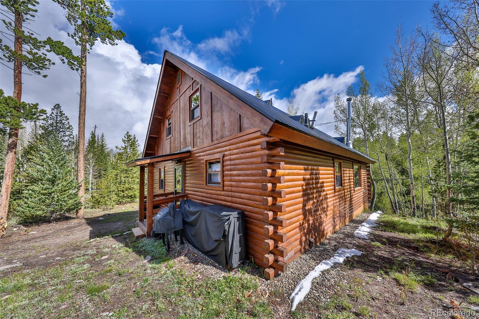 MLS Image #1 for 114  county road 4943 ,grand lake, Colorado