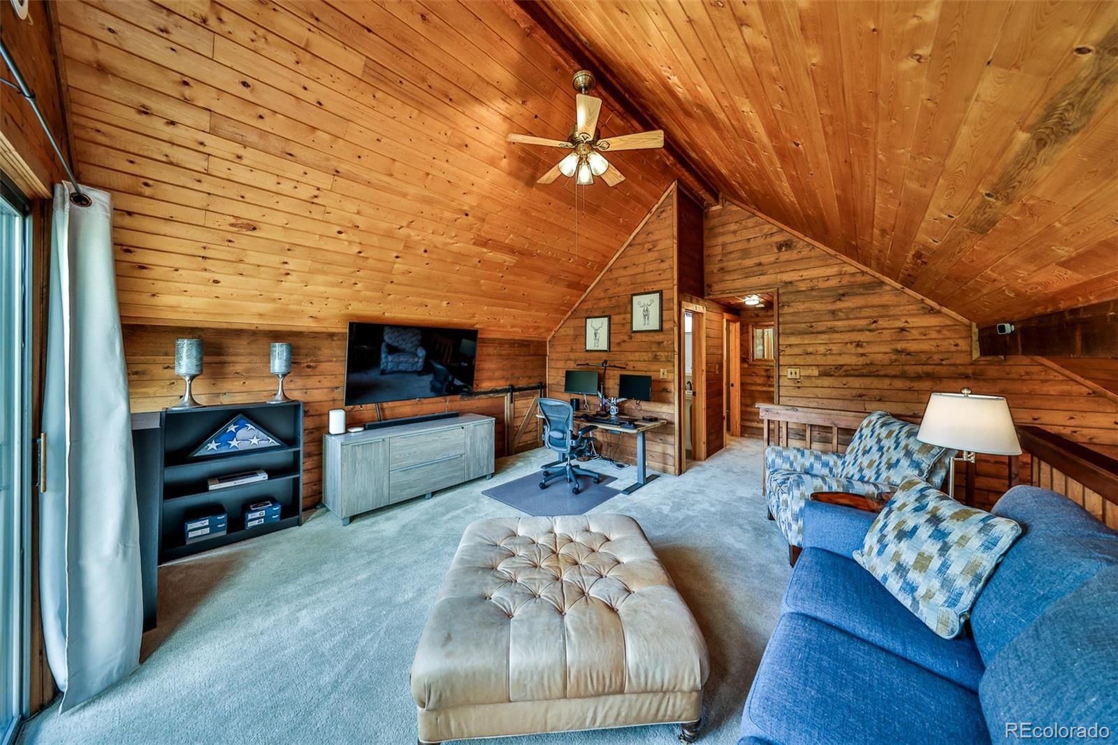 MLS Image #10 for 114  county road 4943 ,grand lake, Colorado