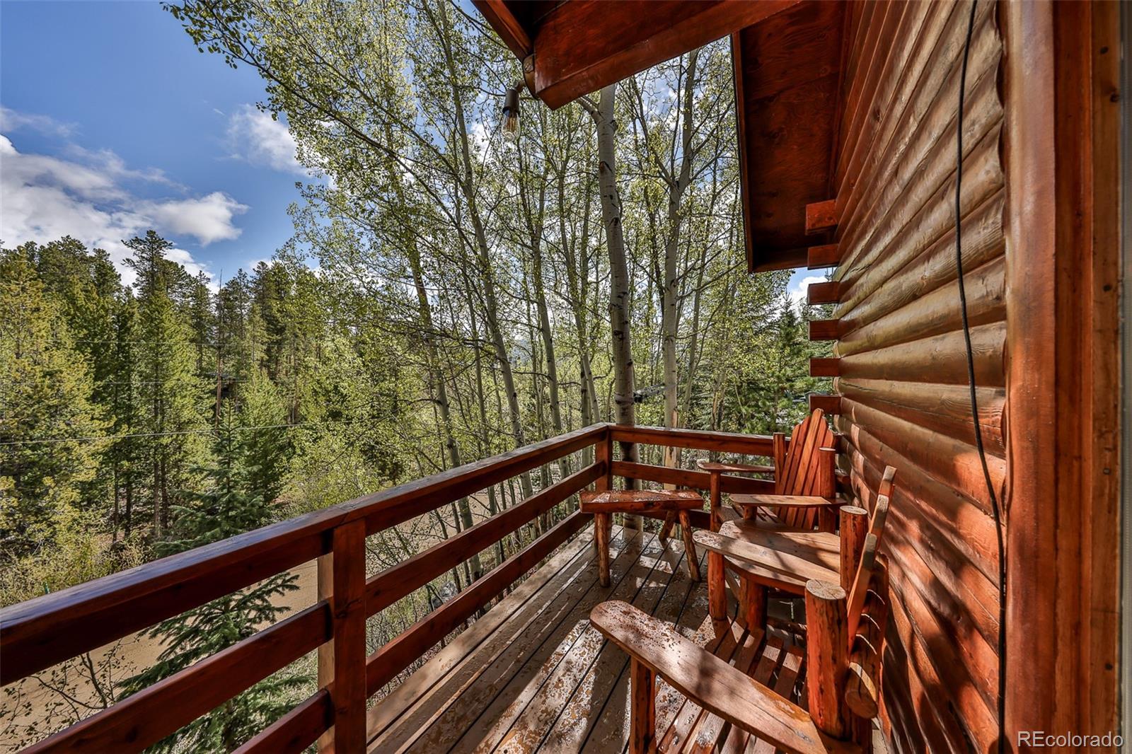 MLS Image #5 for 114  county road 4943 ,grand lake, Colorado