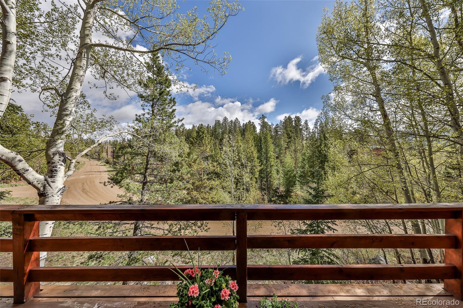 MLS Image #6 for 114  county road 4943 ,grand lake, Colorado