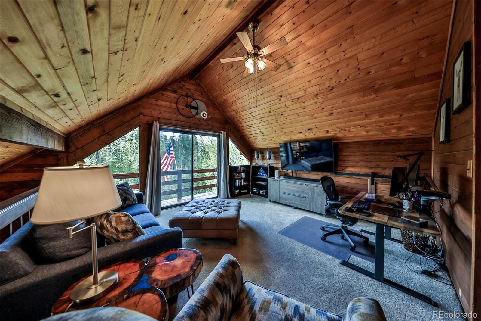 MLS Image #7 for 114  county road 4943 ,grand lake, Colorado