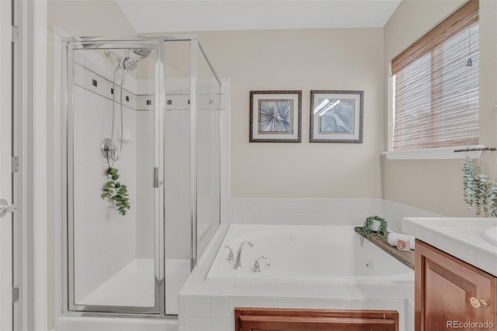 MLS Image #29 for 21050  acadia drive,parker, Colorado