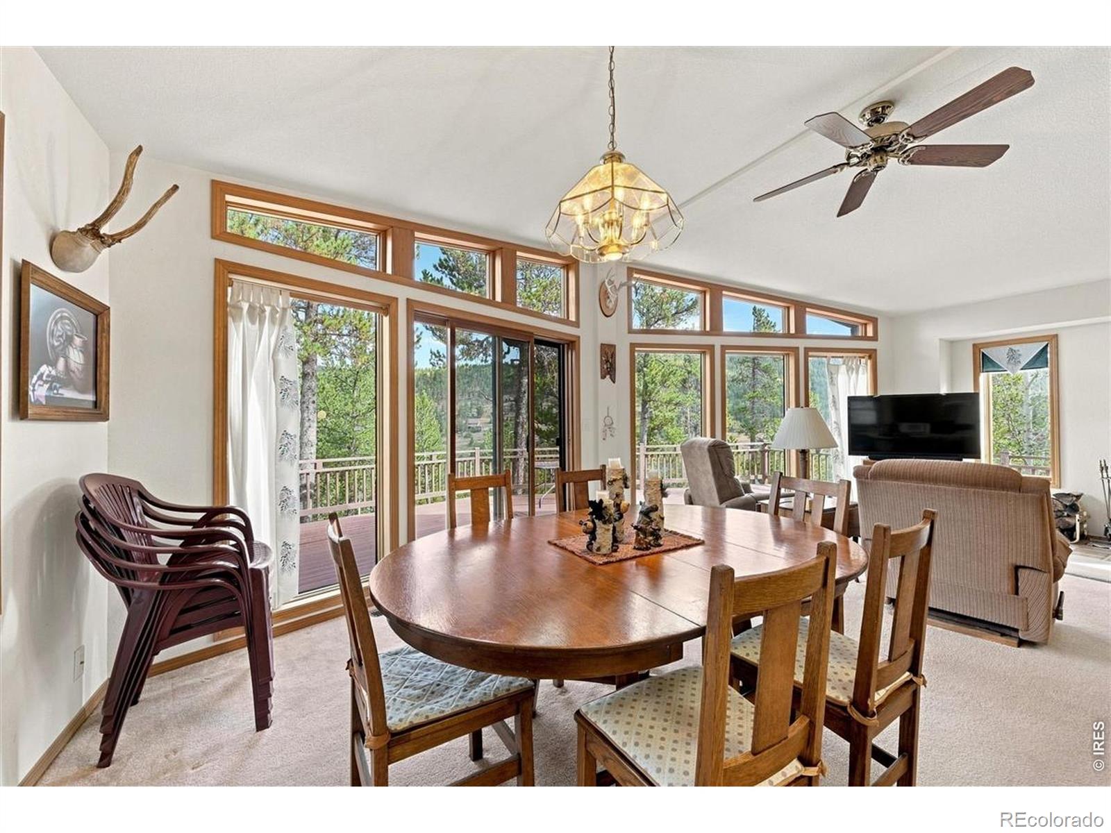 MLS Image #10 for 33  carib court,red feather lakes, Colorado