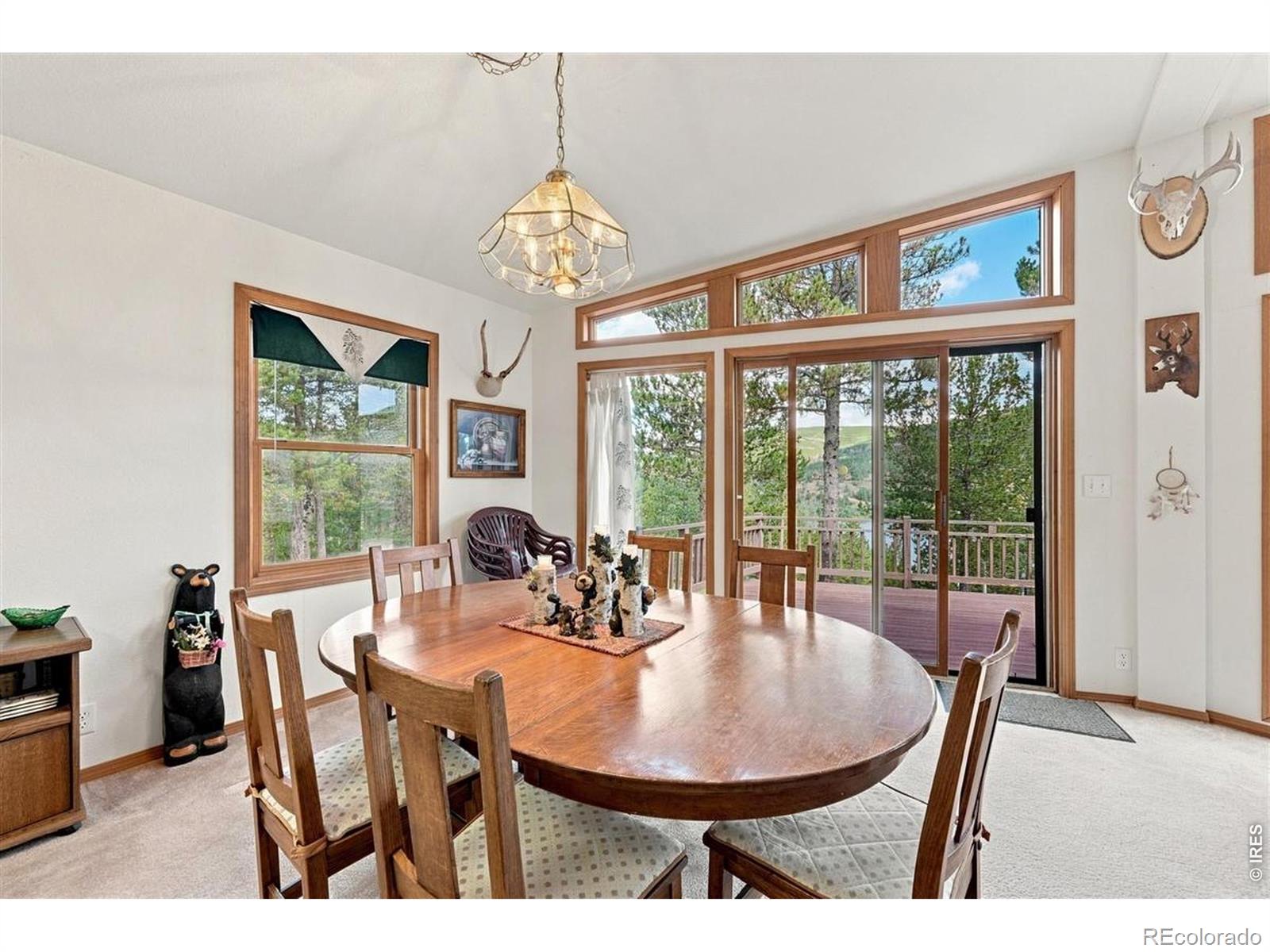 MLS Image #11 for 33  carib court,red feather lakes, Colorado