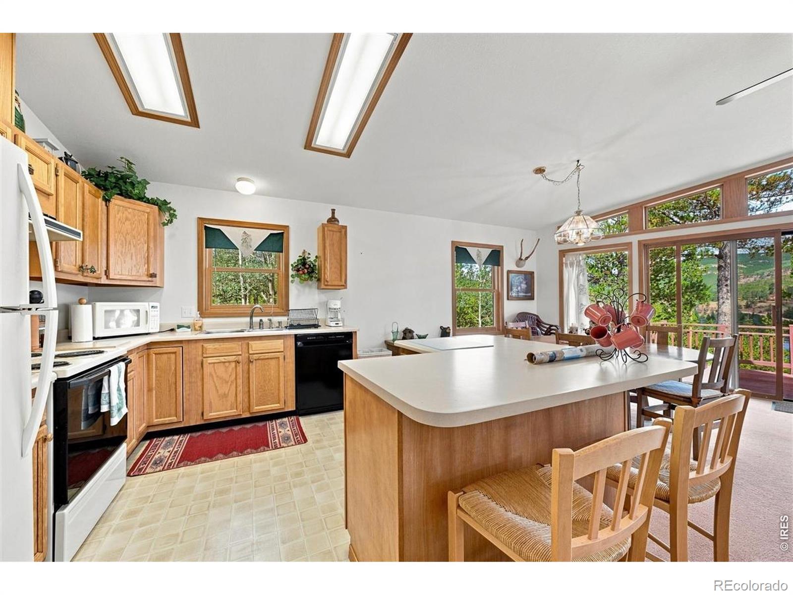 MLS Image #12 for 33  carib court,red feather lakes, Colorado