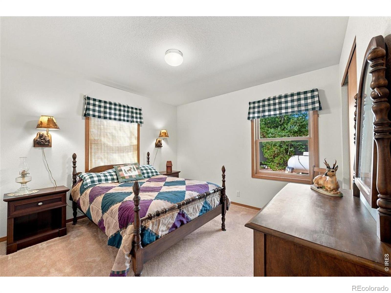 MLS Image #18 for 33  carib court,red feather lakes, Colorado