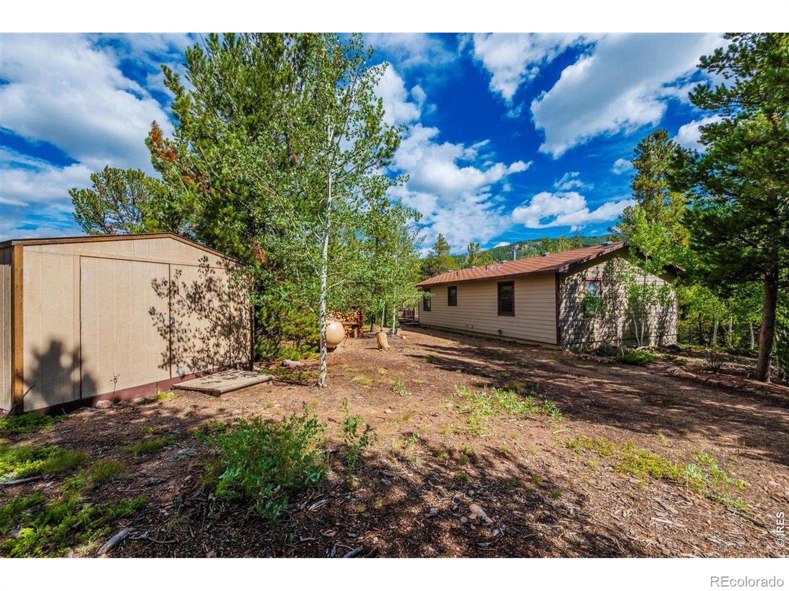 MLS Image #21 for 33  carib court,red feather lakes, Colorado