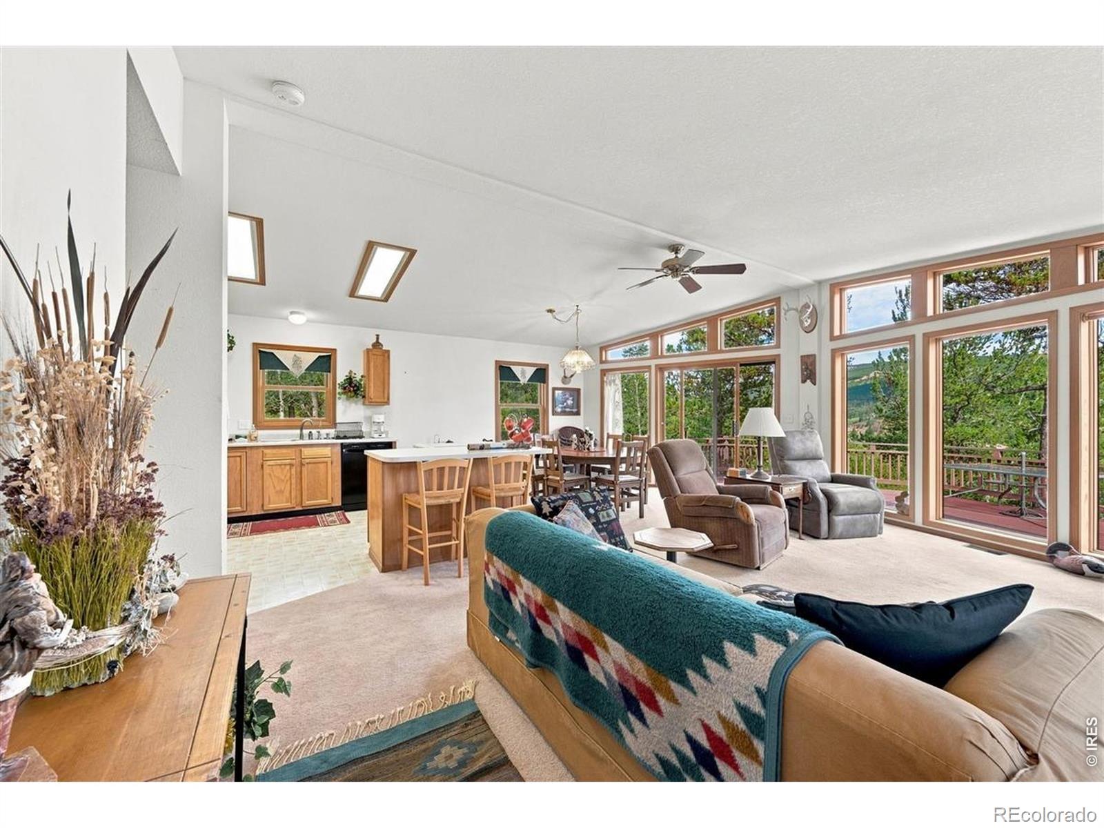 MLS Image #6 for 33  carib court,red feather lakes, Colorado