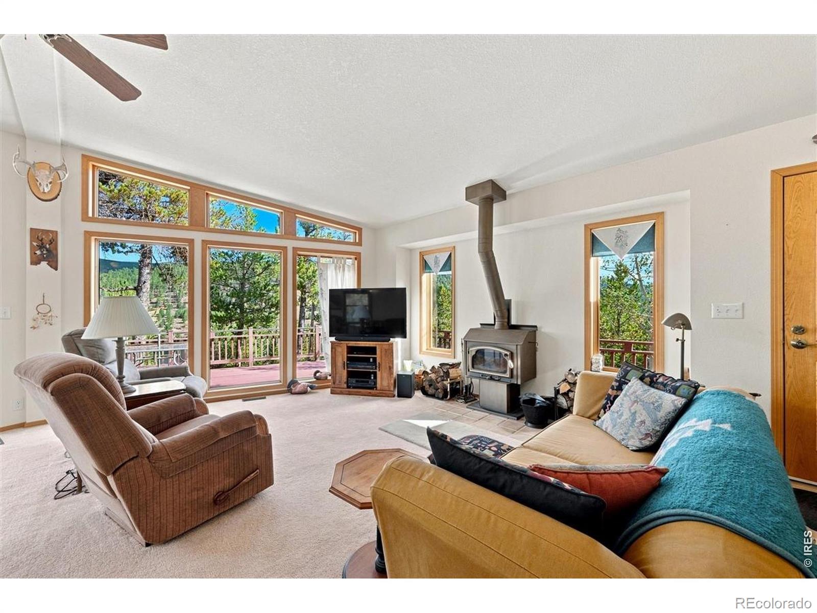 MLS Image #8 for 33  carib court,red feather lakes, Colorado
