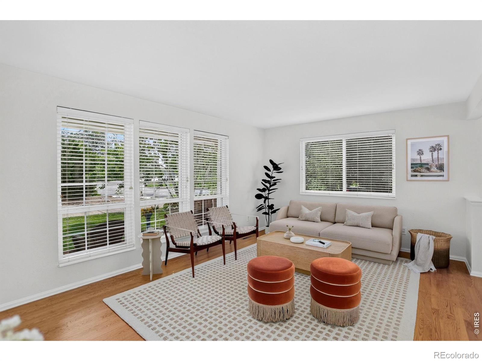 MLS Image #6 for 1531  ithaca court,longmont, Colorado