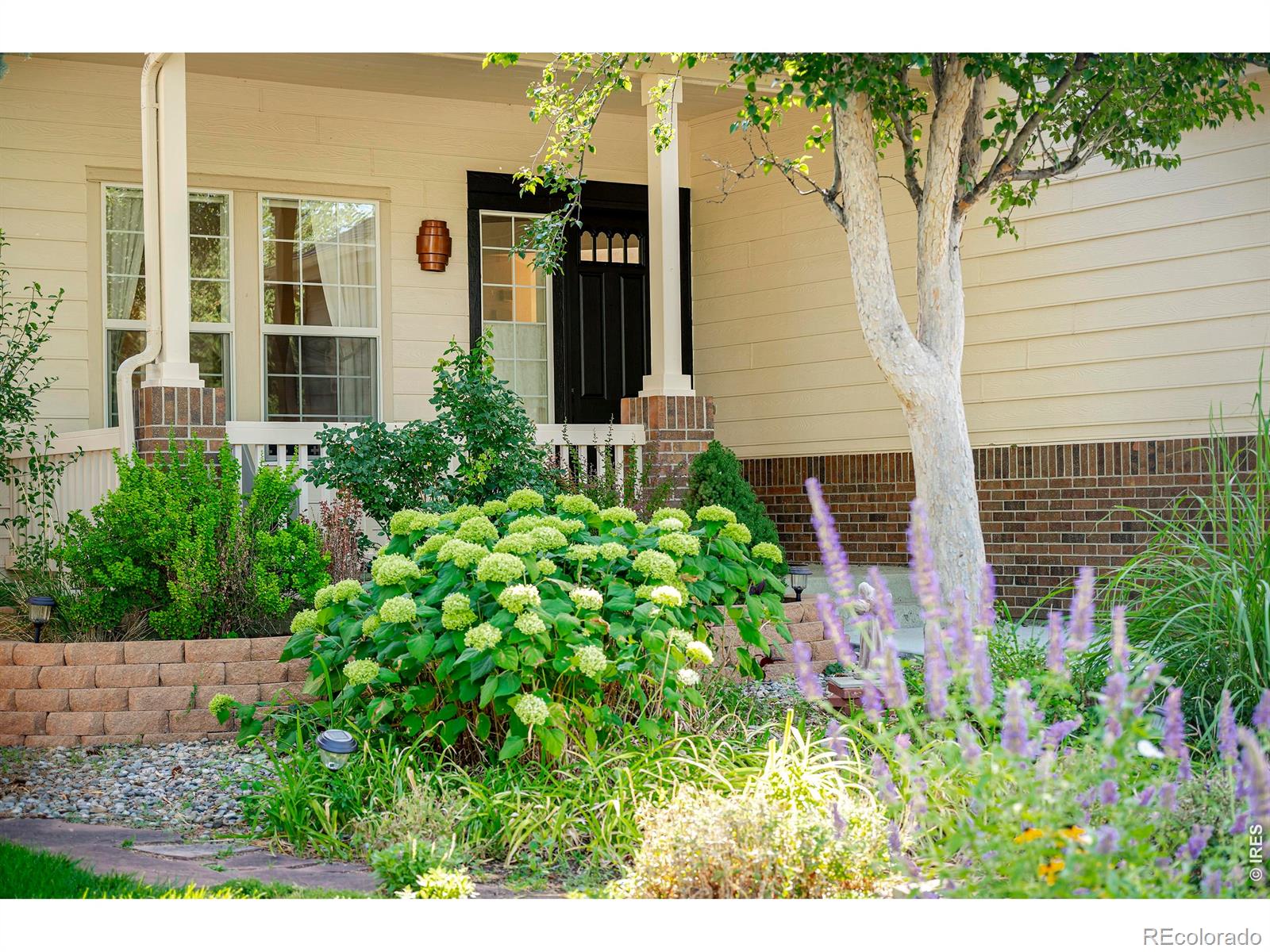 MLS Image #3 for 1816  alpine street,longmont, Colorado