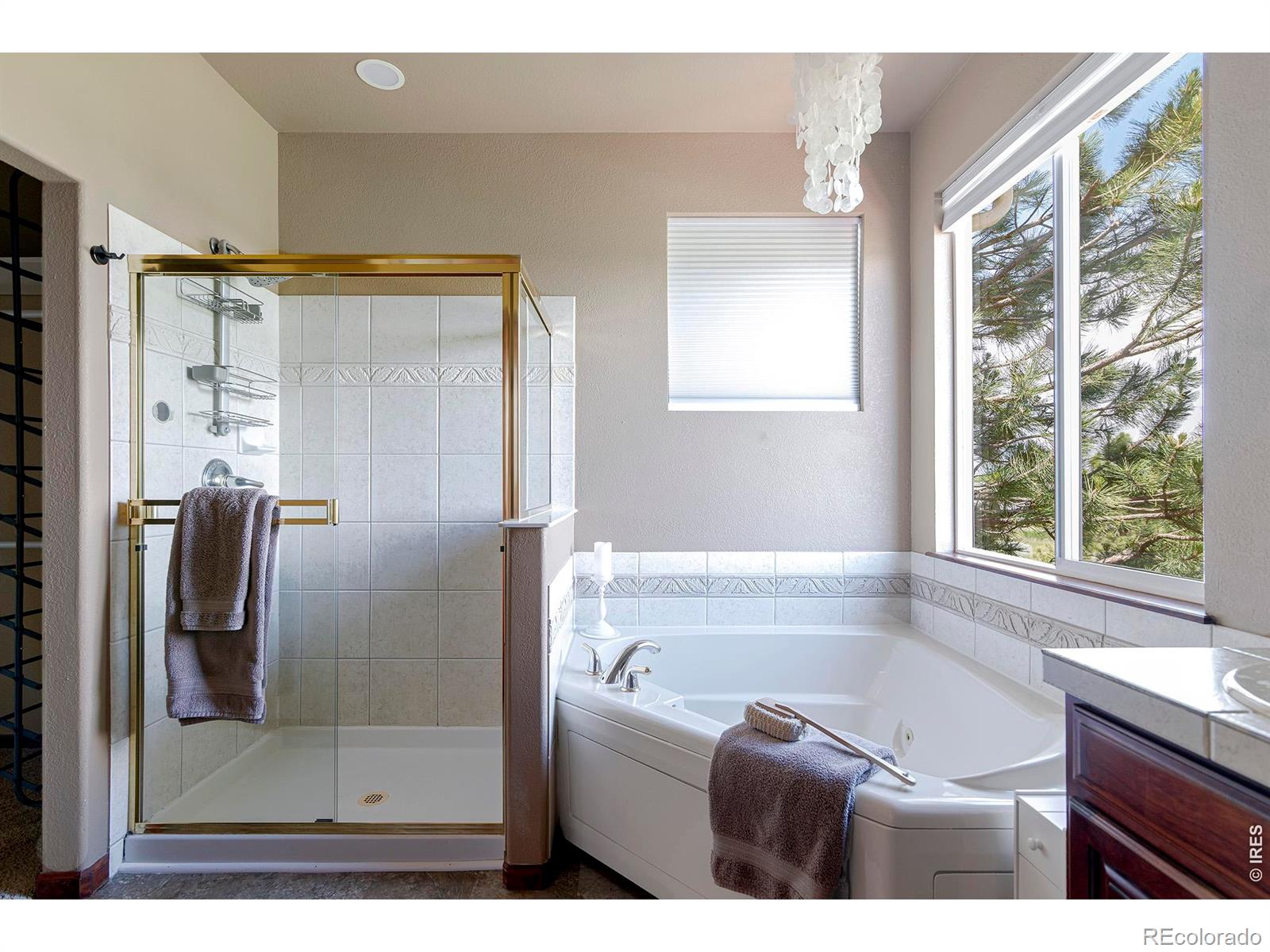 MLS Image #31 for 1816  alpine street,longmont, Colorado