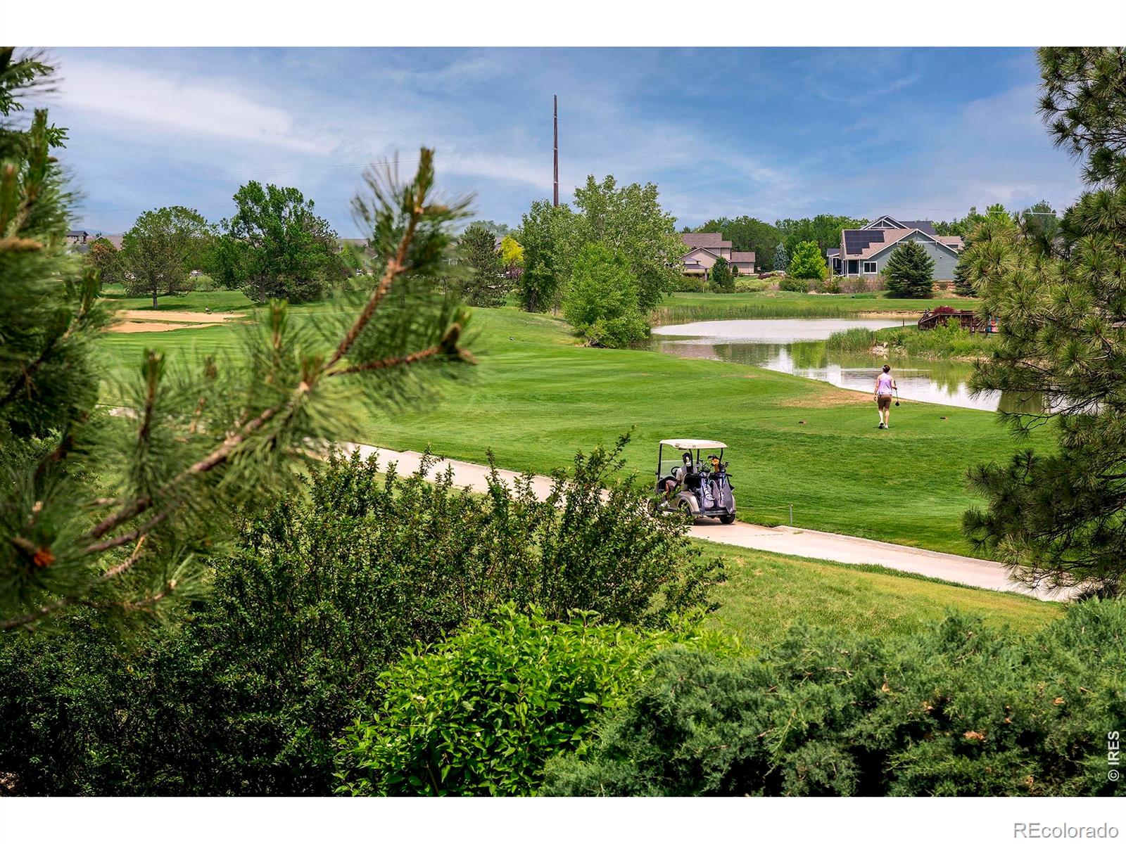 MLS Image #4 for 1816  alpine street,longmont, Colorado