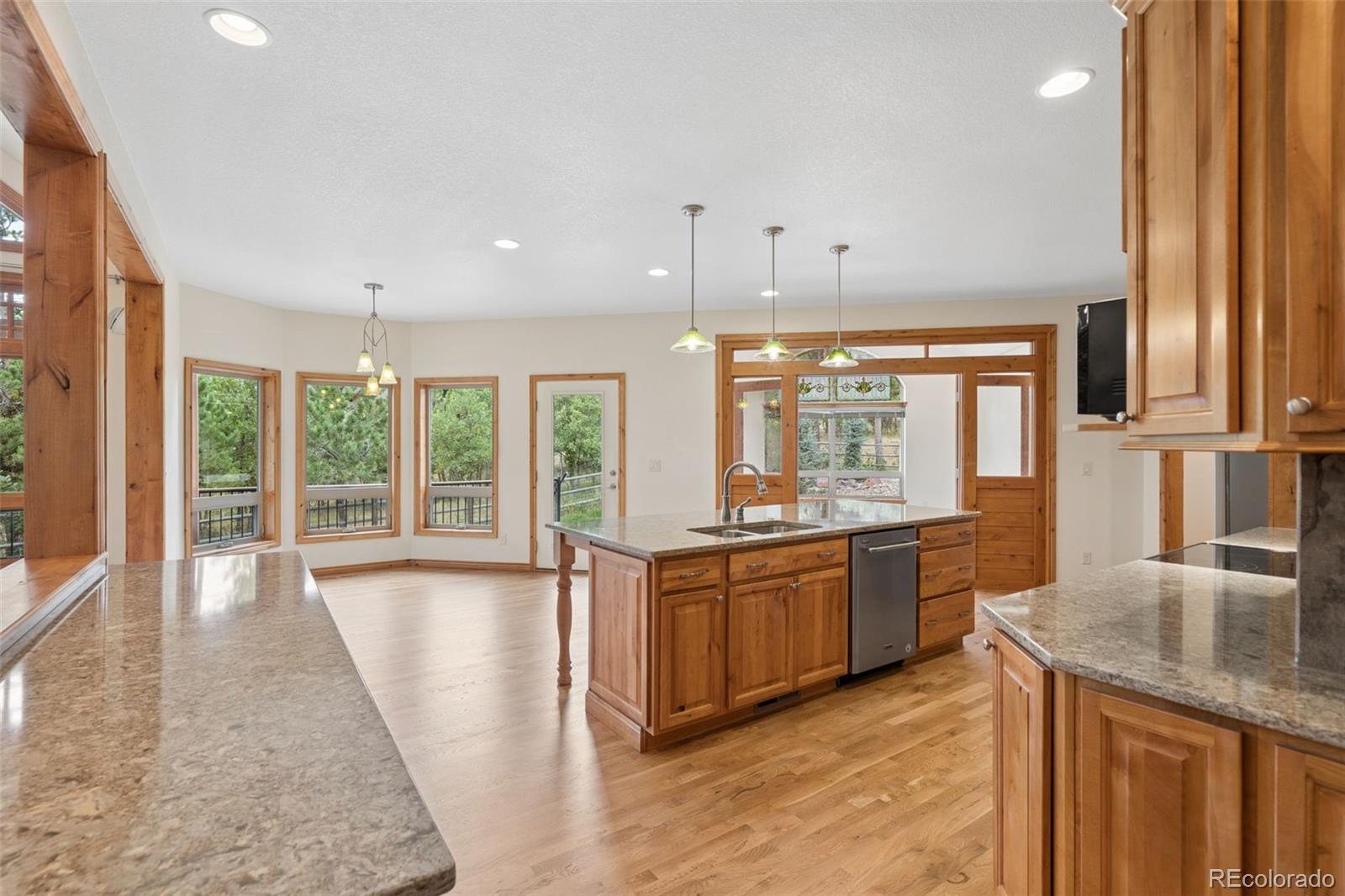 MLS Image #16 for 7440  cameron circle,larkspur, Colorado