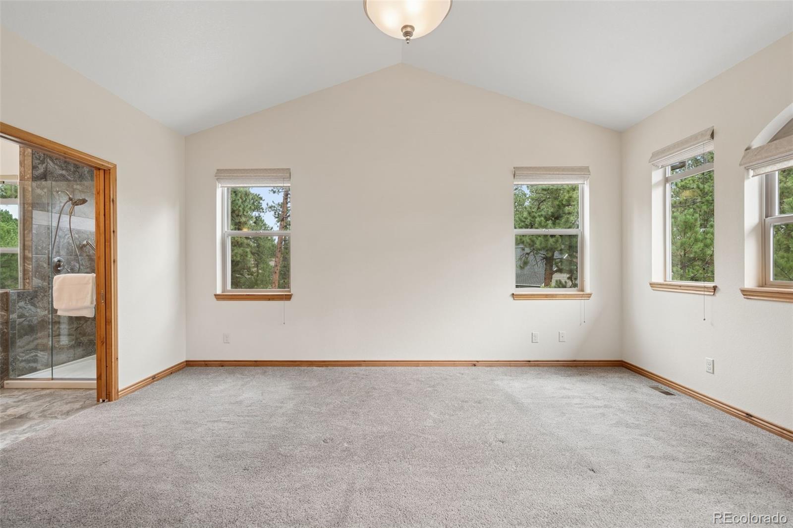 MLS Image #31 for 7440  cameron circle,larkspur, Colorado