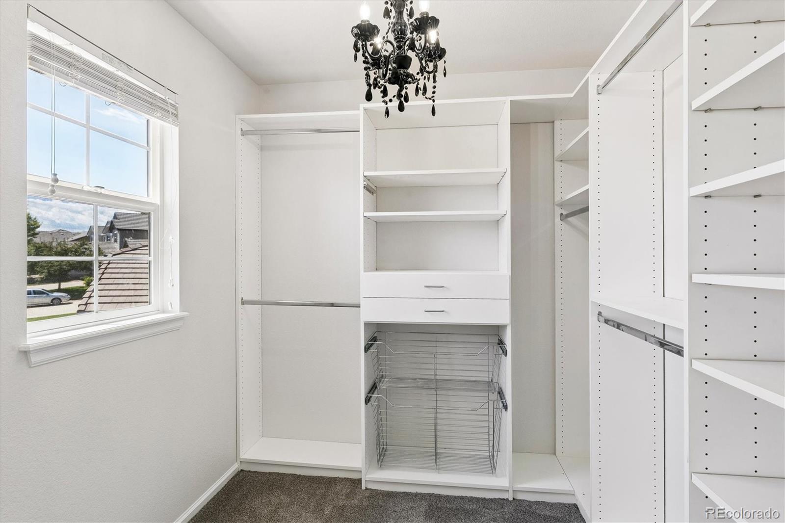 MLS Image #17 for 11945 s black horn circle,parker, Colorado