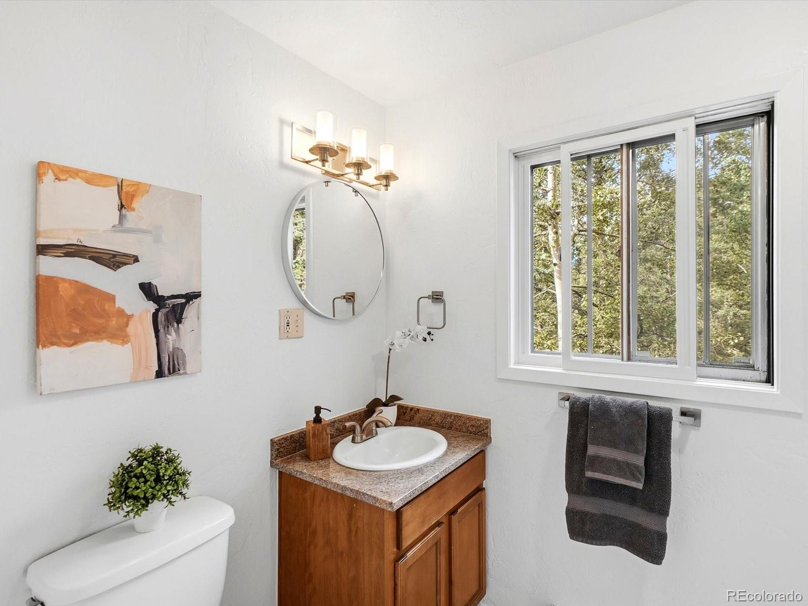 MLS Image #20 for 11742  braun way,conifer, Colorado