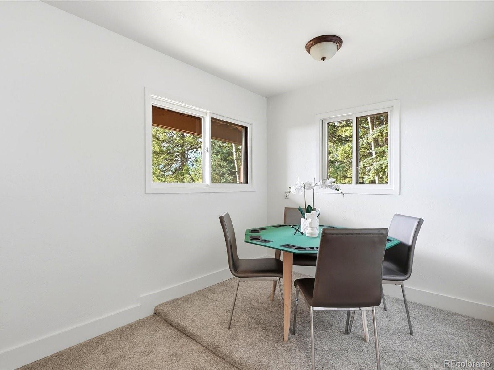 MLS Image #32 for 11742  braun way,conifer, Colorado
