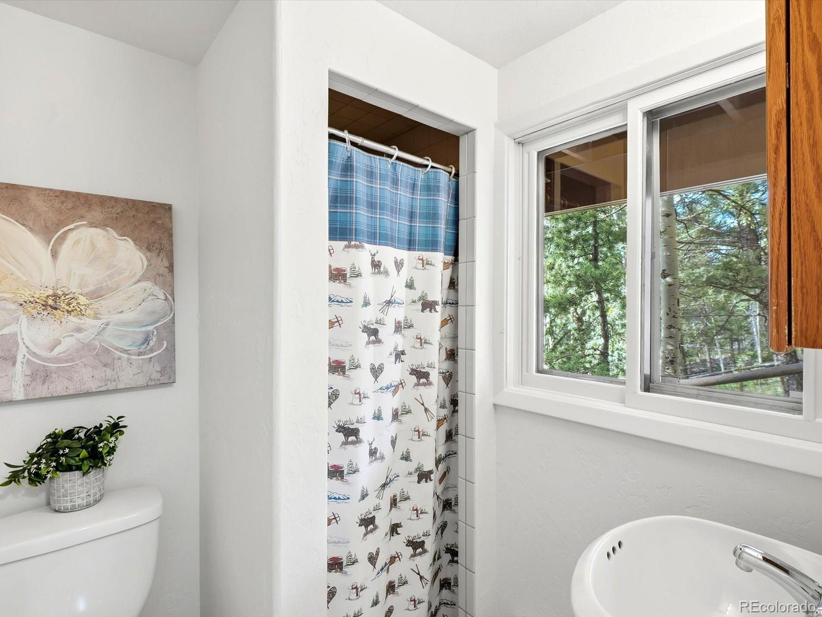MLS Image #34 for 11742  braun way,conifer, Colorado
