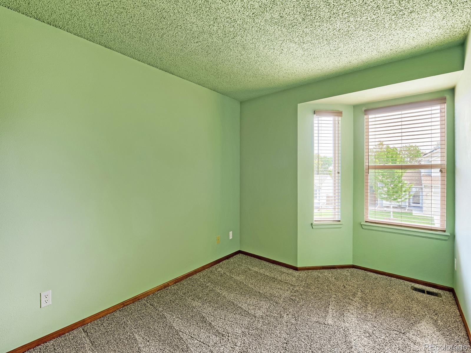 MLS Image #13 for 6348  monterey place,highlands ranch, Colorado