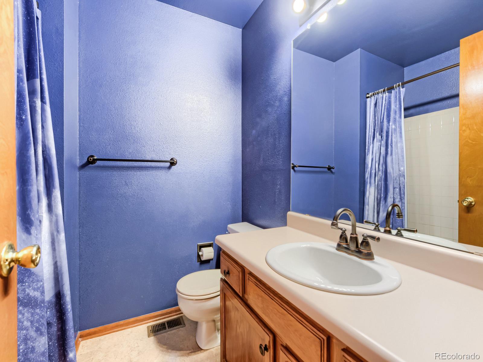 MLS Image #14 for 6348  monterey place,highlands ranch, Colorado