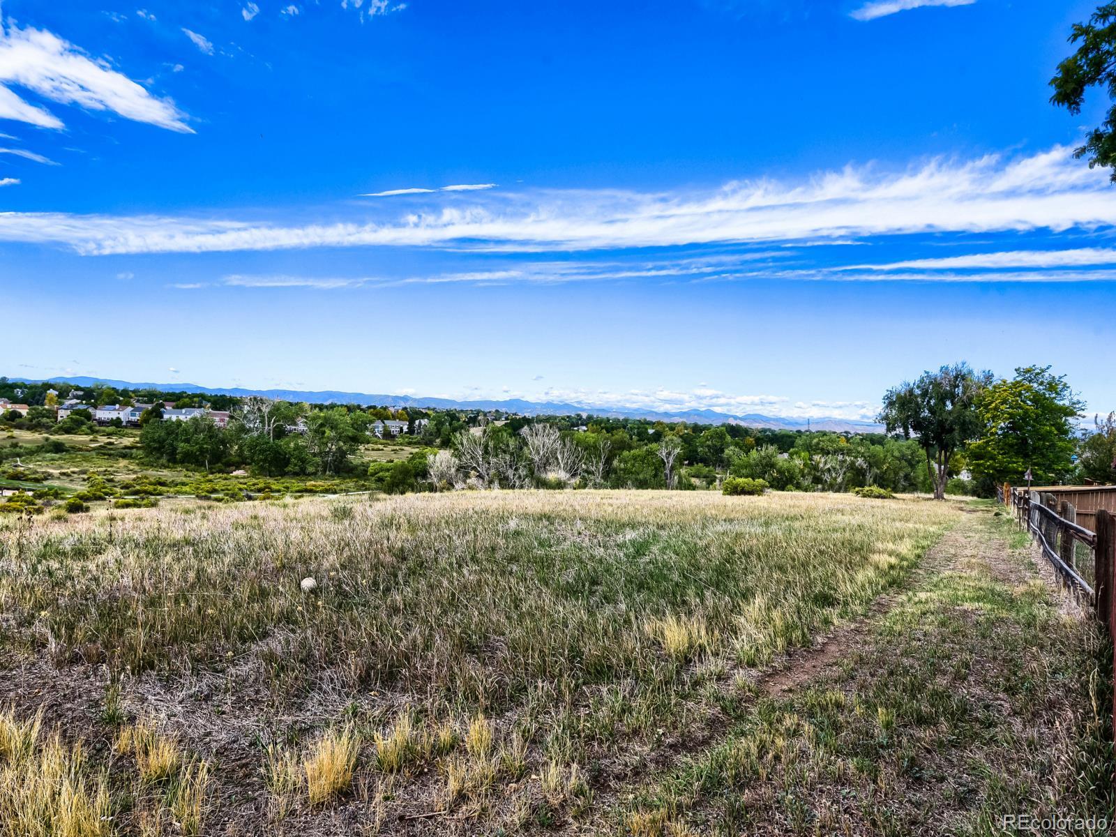 MLS Image #27 for 6348  monterey place,highlands ranch, Colorado