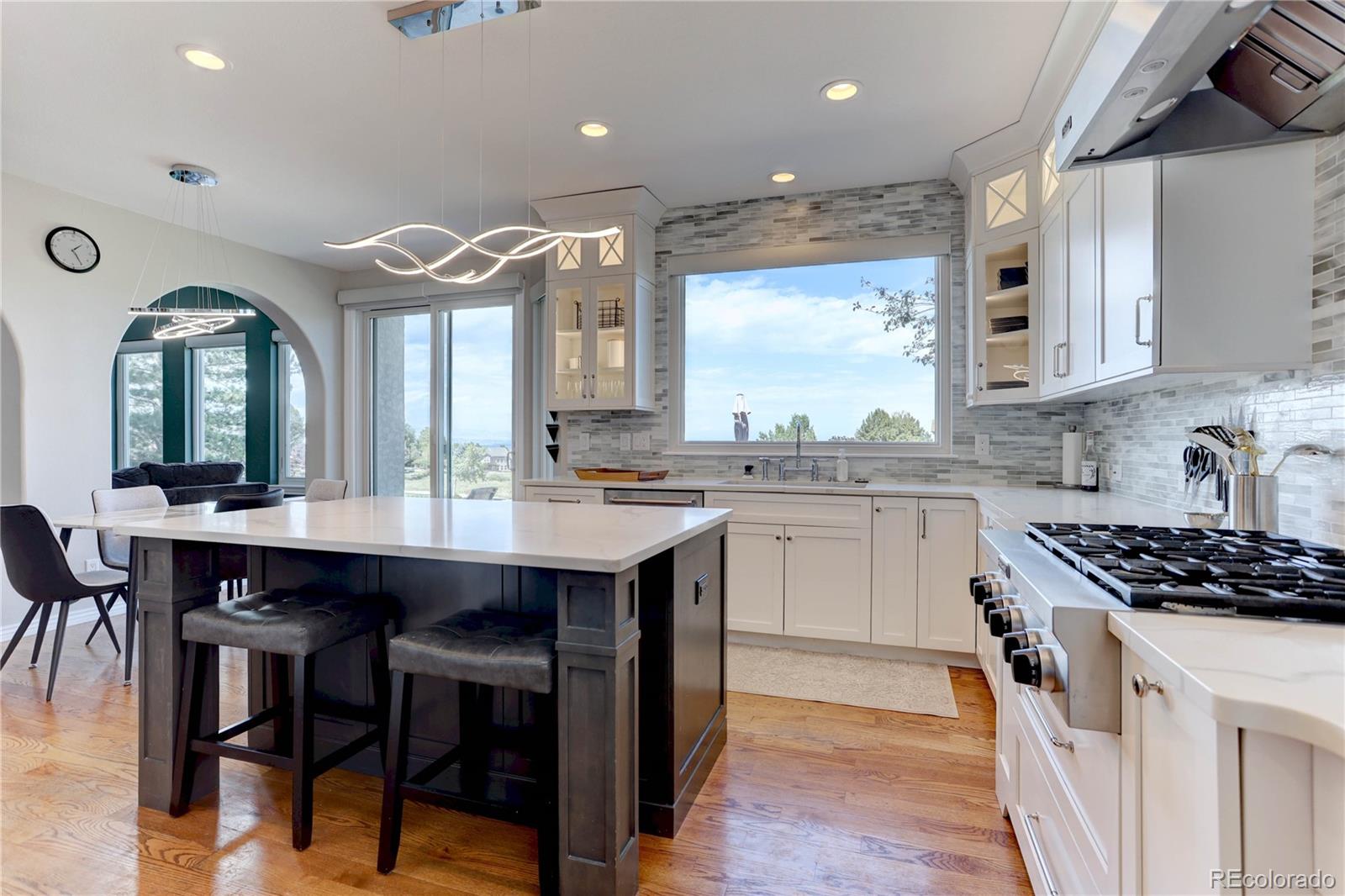 MLS Image #13 for 951  courtland place,highlands ranch, Colorado