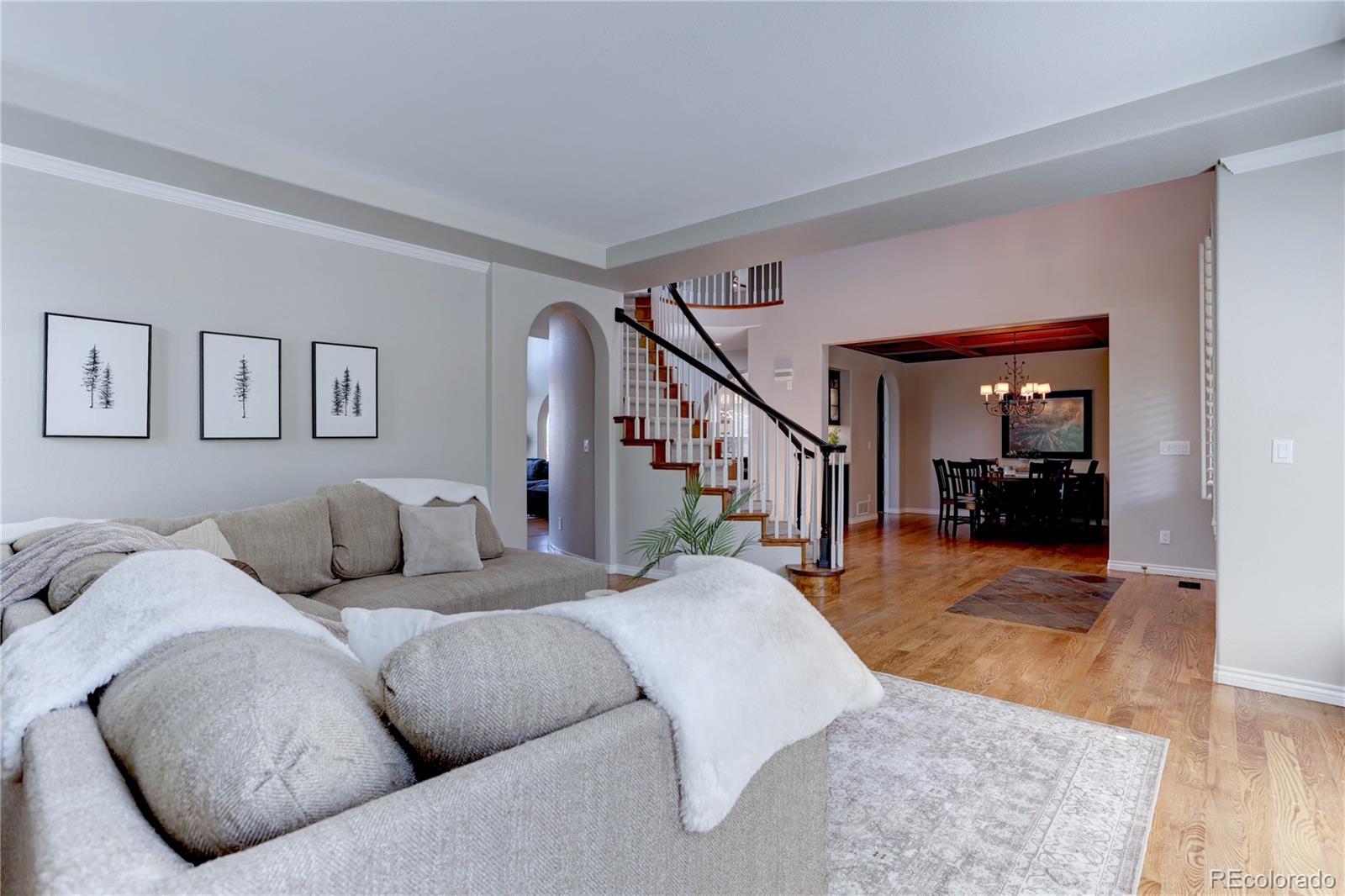 MLS Image #8 for 951  courtland place,highlands ranch, Colorado
