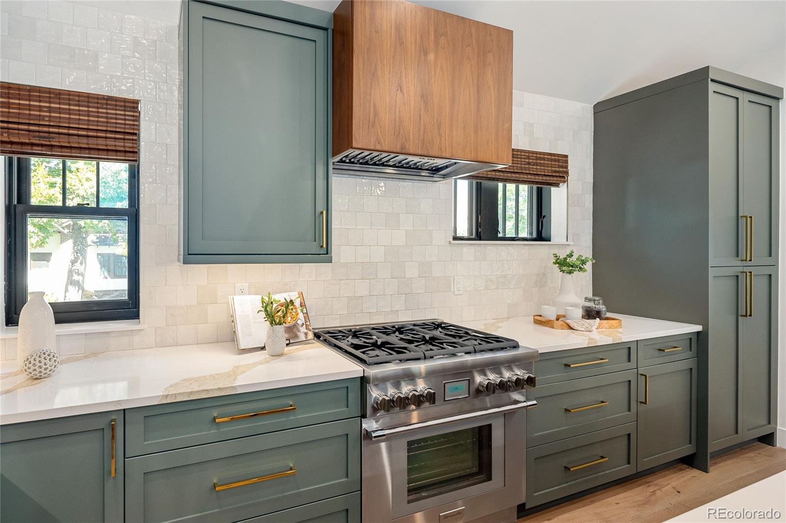 MLS Image #5 for 3295  meade street,denver, Colorado