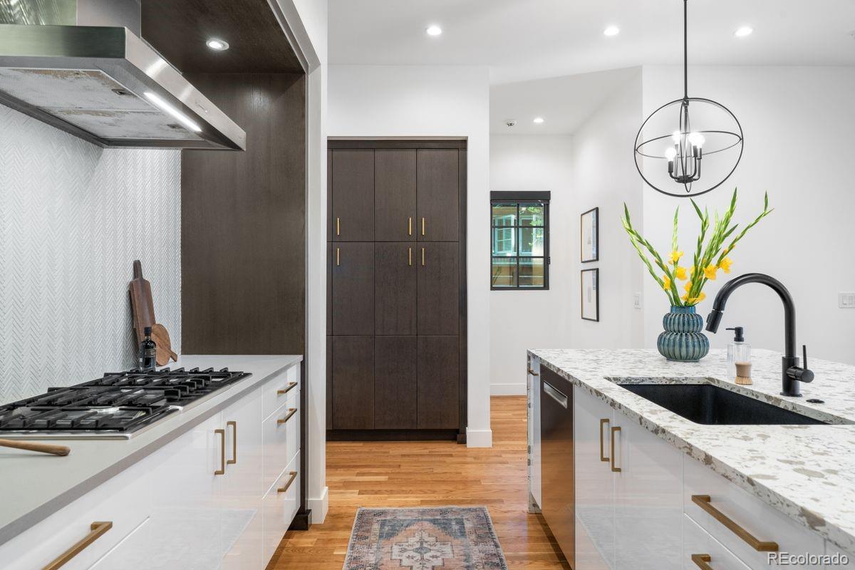 MLS Image #9 for 610 s race street,denver, Colorado