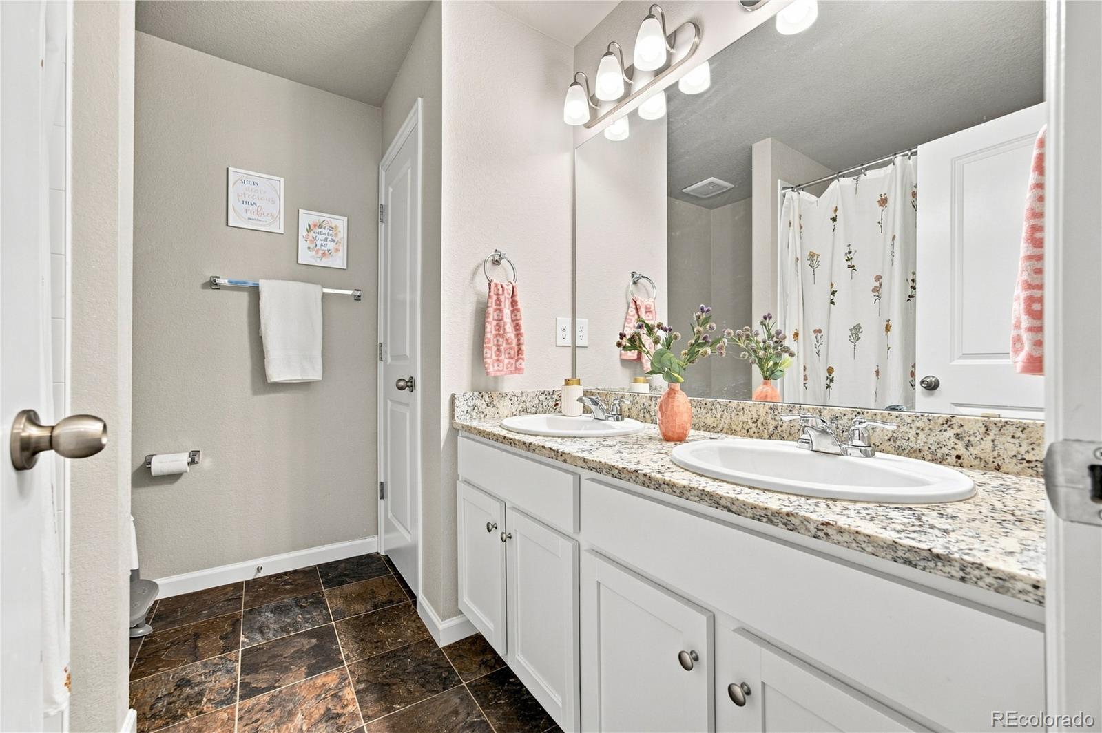 MLS Image #10 for 27074 e archer avenue,aurora, Colorado