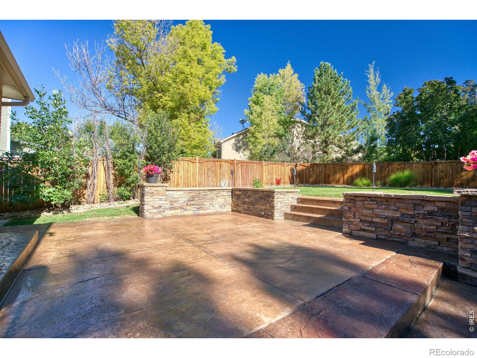 MLS Image #4 for 1115  chester court,johnstown, Colorado