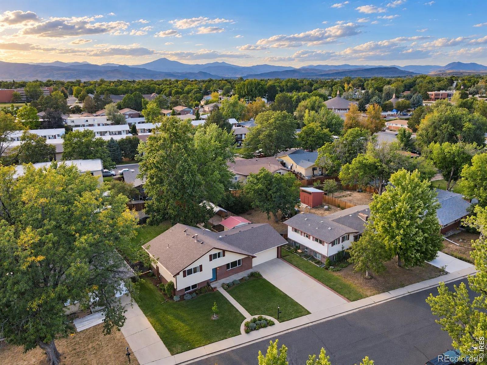 MLS Image #13 for 1423  frontier street,longmont, Colorado