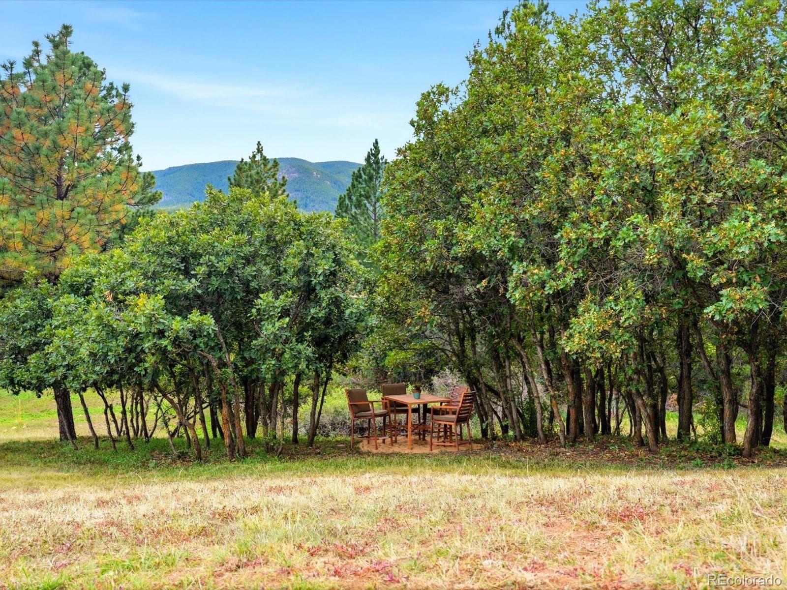 MLS Image #44 for 6697  wauconda drive,larkspur, Colorado