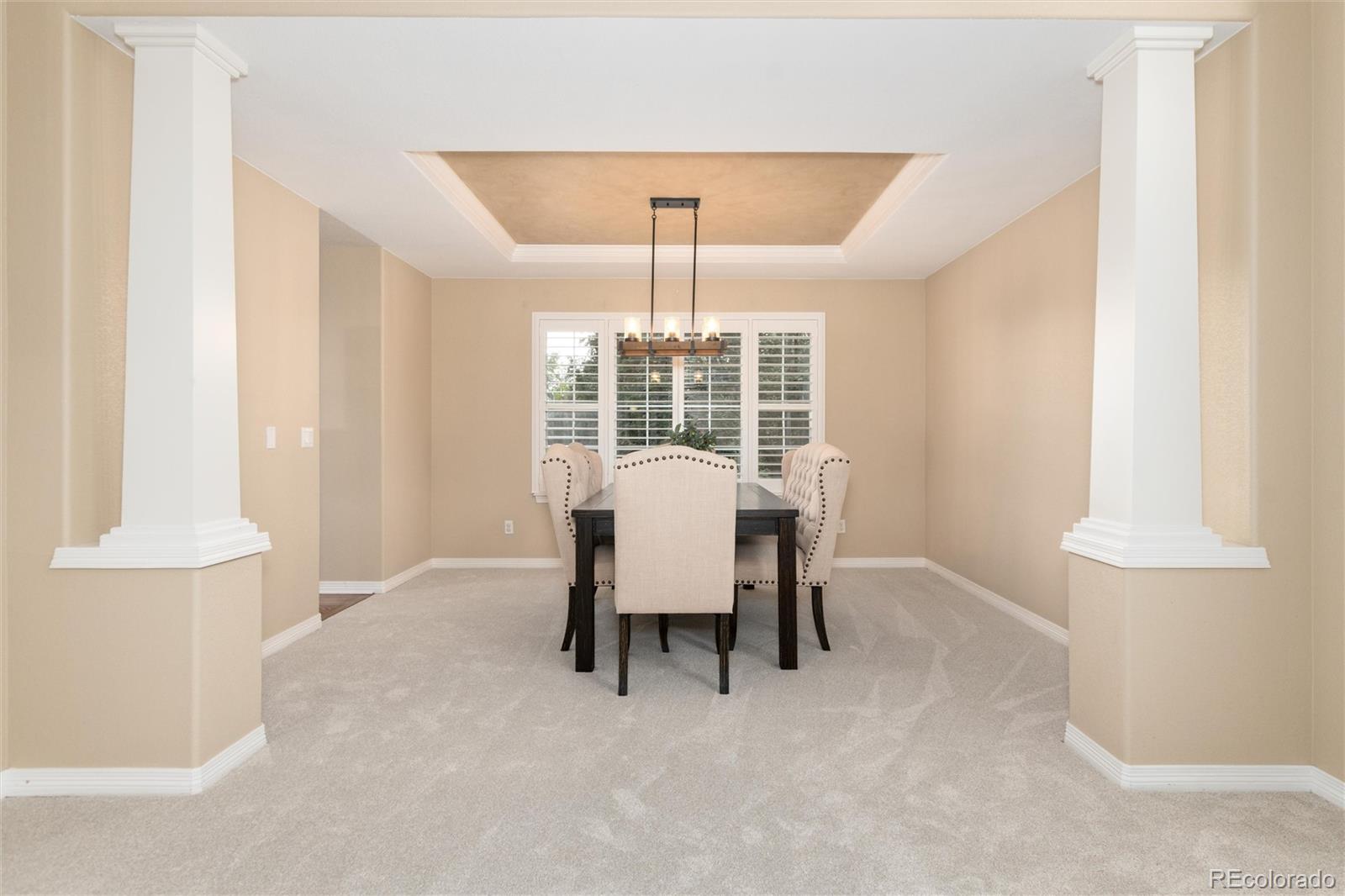 MLS Image #10 for 15862  crestrock circle,parker, Colorado